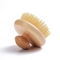 Φυσικό Bristle Bath Brush Spa σώμα Massager ντους Exfoliating γύρω από ξύλινο